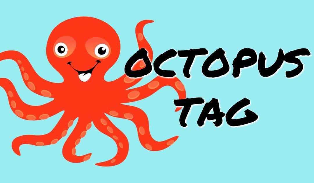 Octopus Tag Outdoor Family Game - Ziggity Zoom Family