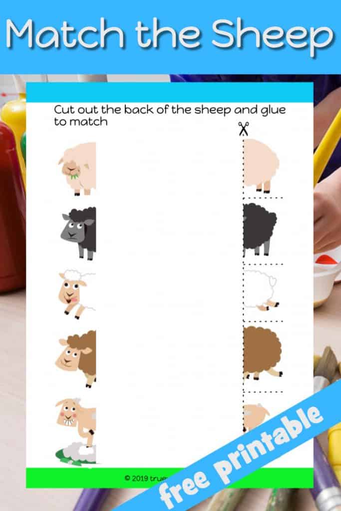 Samuel Anoints David - Bible lesson for kids - Trueway Kids