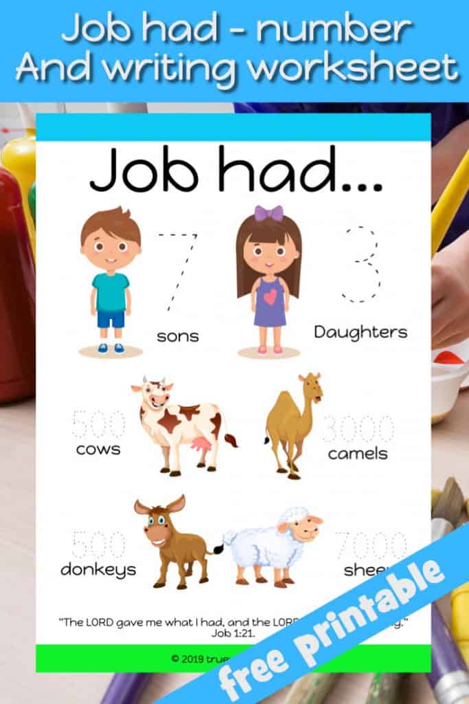 Job had Bible worksheet. Free printable. Practice writing numbers. Learn about what Job had and was taken away. Job Bible review worksheet.  