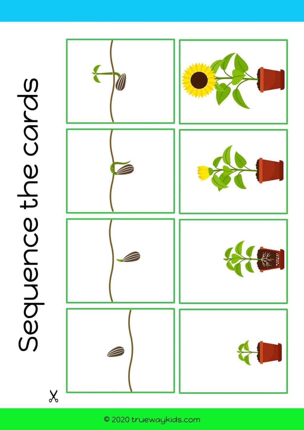 The Parable of the Mustard Seed - Bible lesson for kids - Trueway Kids