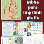 La parábola de la semilla de mostaza. Lección de la Biblia imprimible gratis para niños. Incluye juegos, actividades, páginas para colorear, manualidades bíblicas y más.