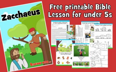 New Testament Bible lessons - Trueway Kids