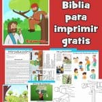 Zaqueo - Lección de la Biblia para niños
