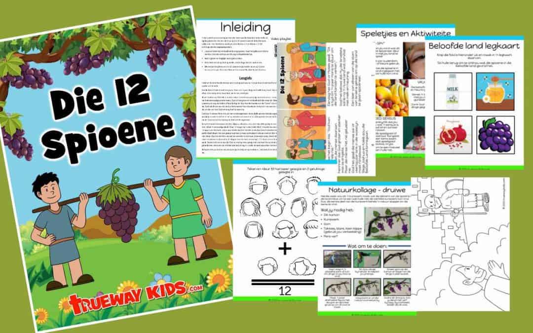 Die 12 Spioene