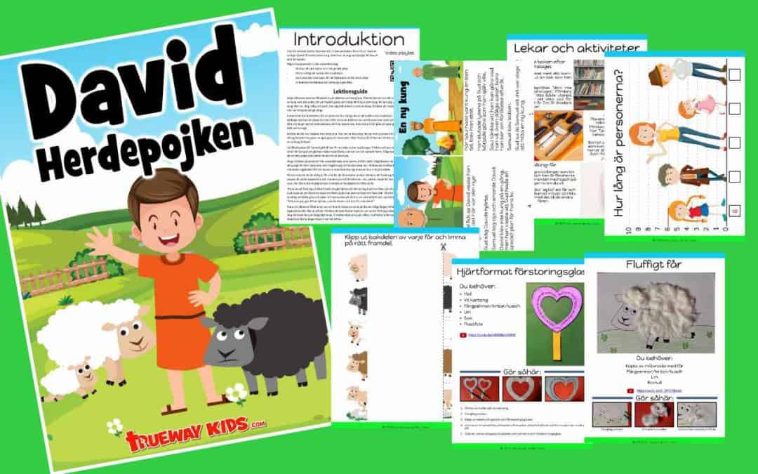 David – Herdepojken