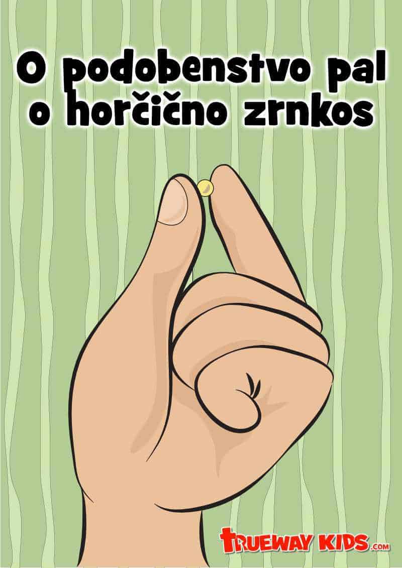 NT15-  O podobenstvo pal o našade veci