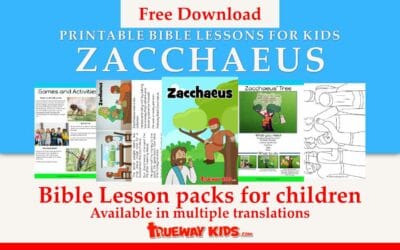 New Testament Bible lessons - Trueway Kids