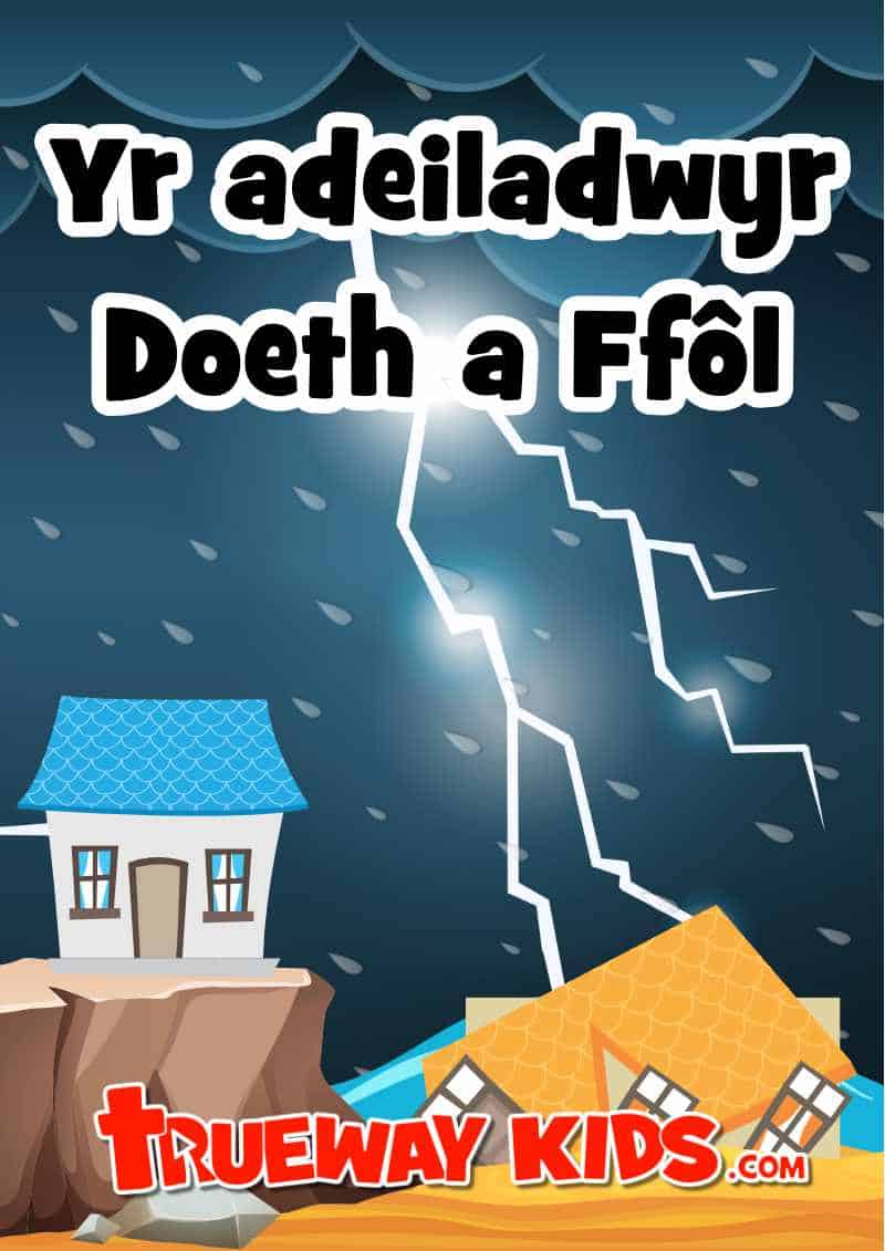 NT13 Wise and Foolish builder lesson