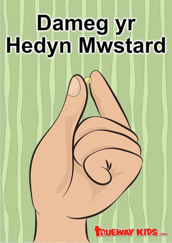 NT19 The Parable of the Mustard Seed