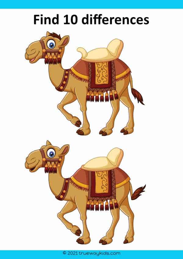 Spot the difference Camel worksheet for kids