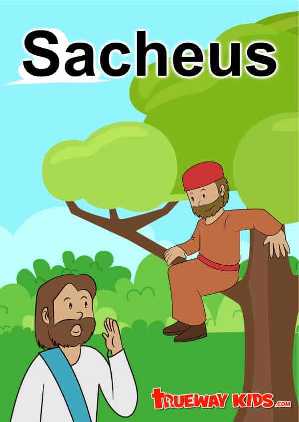 Nt26 Zacchaeus