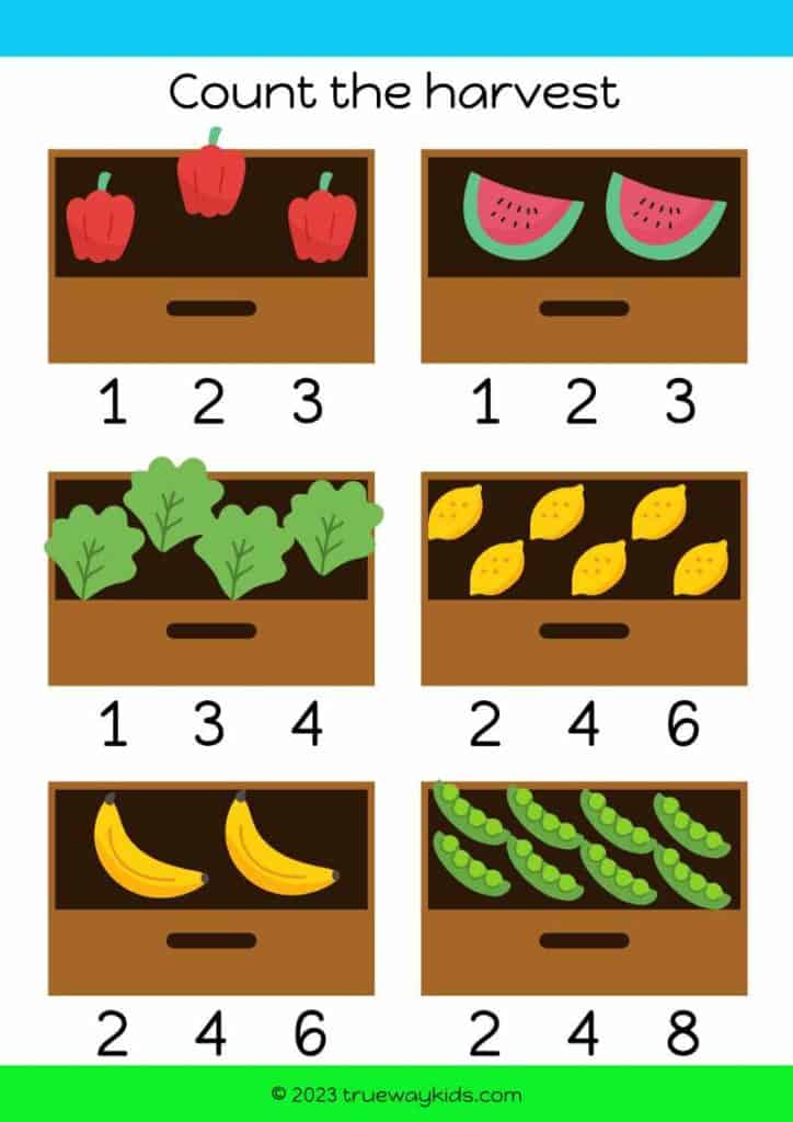 Count the Harvest - count the items in the boxes worksheet for kids