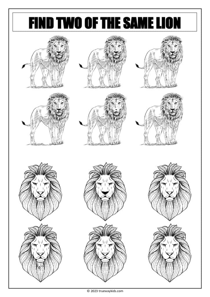 Lion's worksheet for youth - two the same