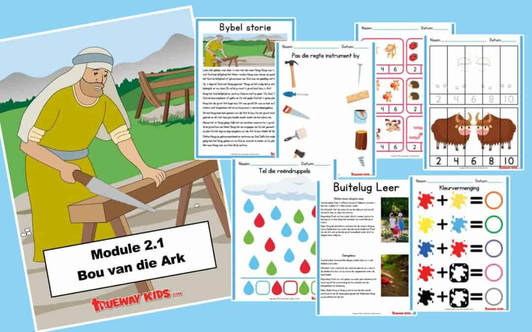 Module 2 - Noag (leer program) Trueway Kids